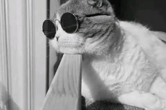 热刺保持开云进攻火力，英超赛场愈发精彩